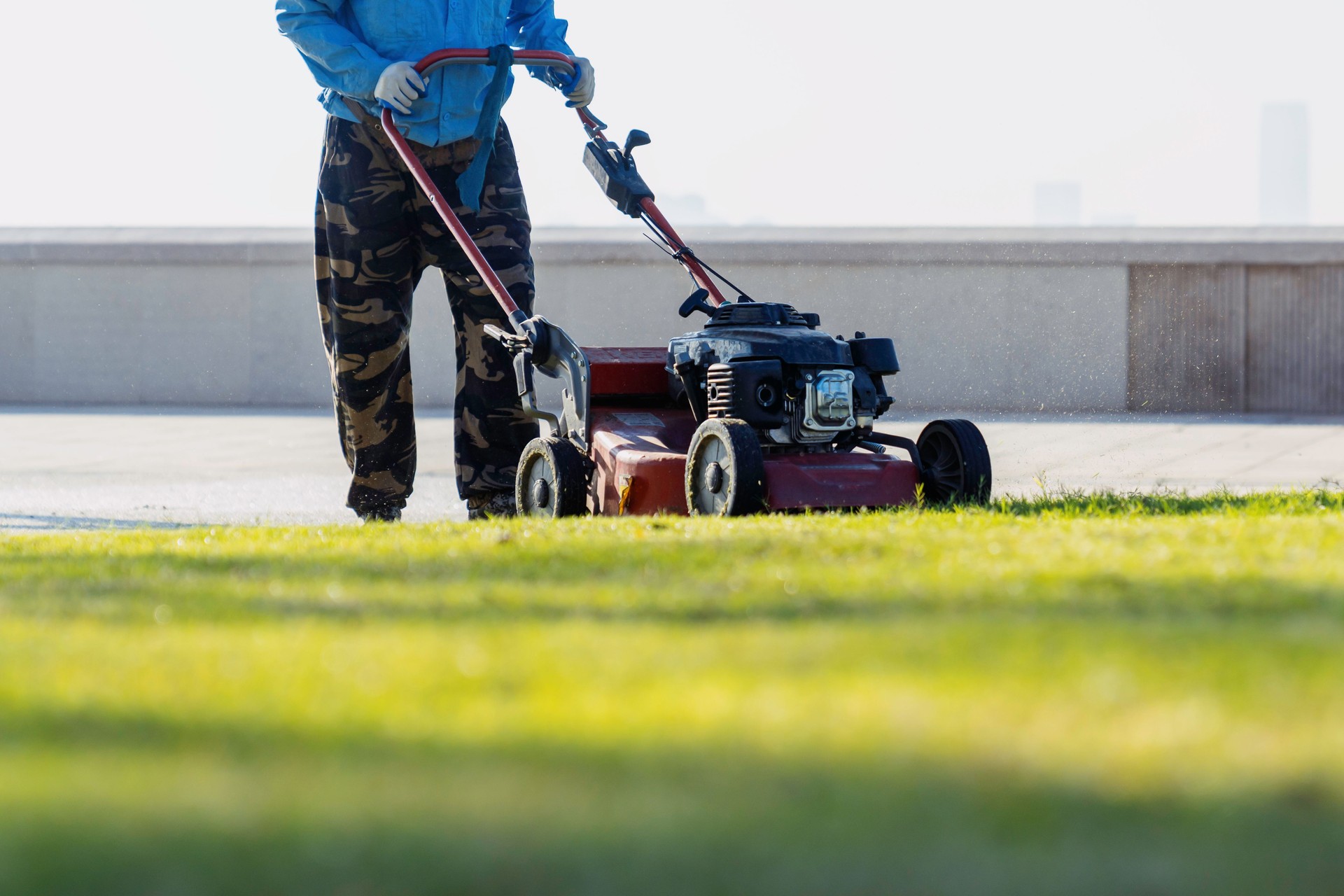 Workers are trimming the park lawn with a lawnmower.
